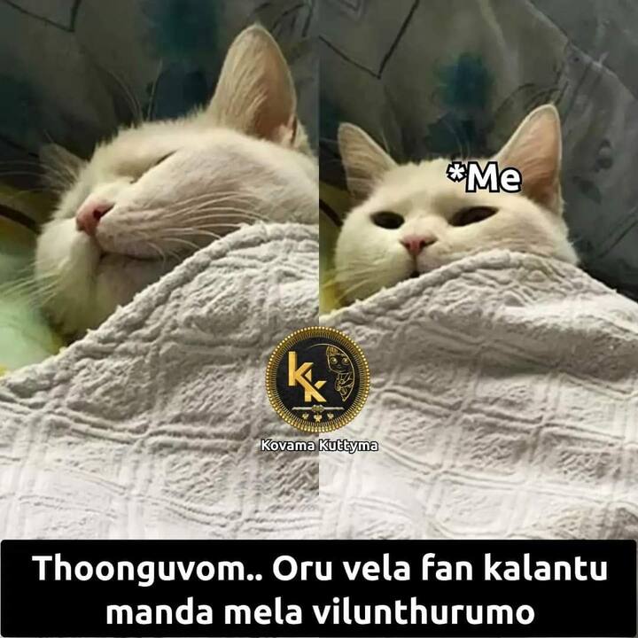 என்னென்னா சொல்றான் பாருங்க