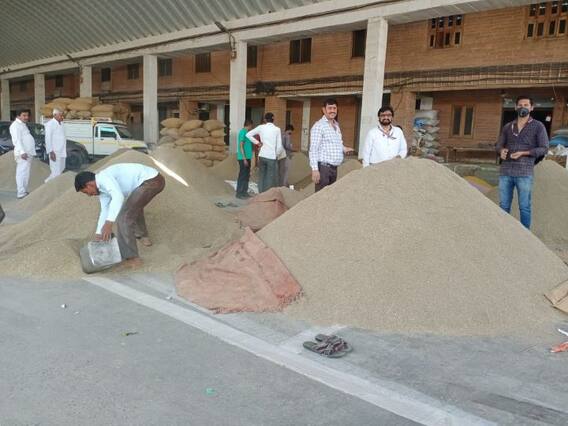 Jodhpur News: जोधपुर में जीरे की खुली नीलामी बोली हुई शुरू, कम उपज की वजह से कीमत में आया उछाल Jodhpur News: जोधपुर में जीरे की खुली नीलामी बोली हुई शुरू, कम उपज की वजह से कीमत में आया उछाल
