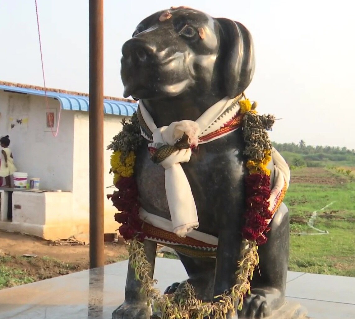 Tamil Nadu Man Installs Marble Statue Of Dog Worth Rs 80,000 In Memory Of His Late Pet - See Pics