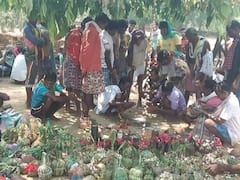 Bastar Mati Puja 2022: गर्मी में आदिवासी मनाते हैं 15 दिनों का ये खास त्यौहार, महिलाएं नहीं होती हैं शामिल