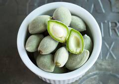 Health Care : उन्हाळ्यात हिरव्या बदामचा करा आहारात समावेश; जाणून घ्या आश्चर्यकारक फायदे