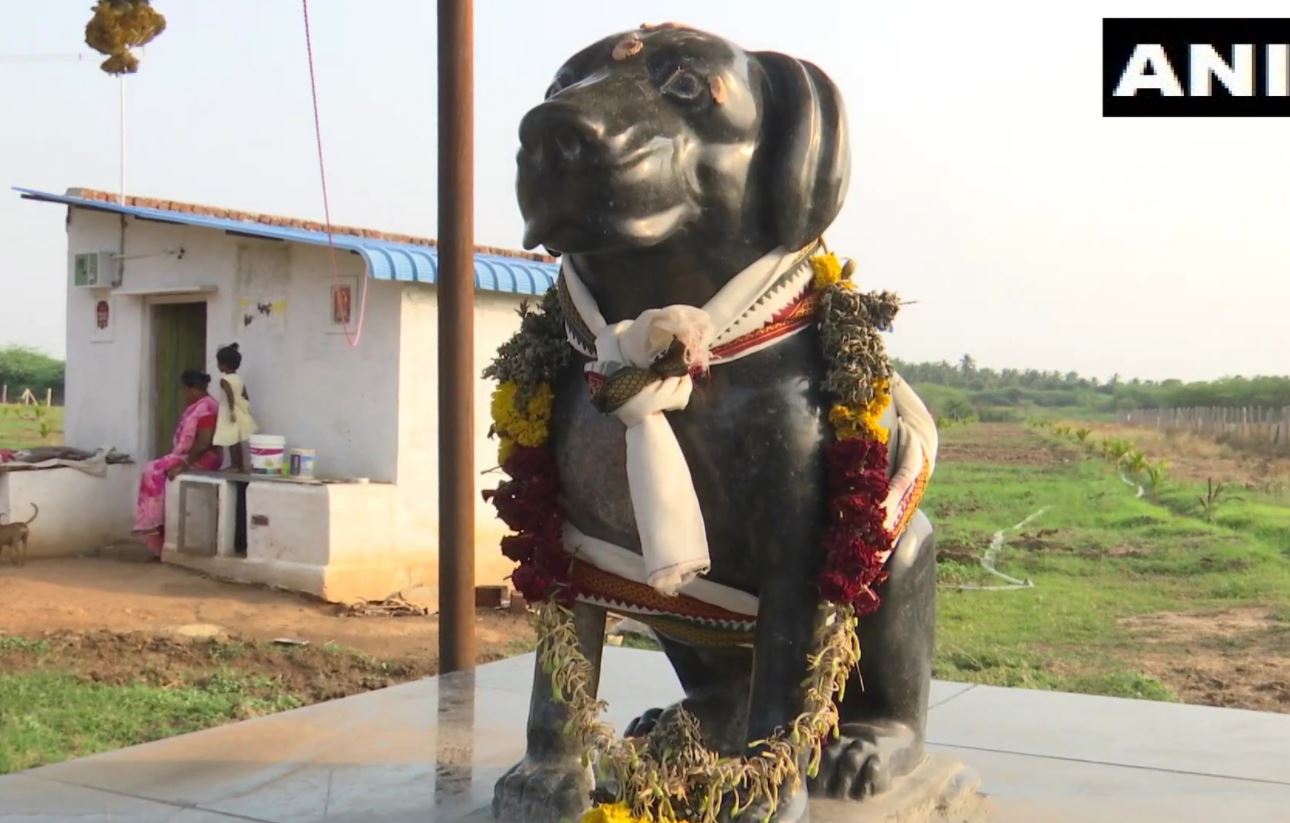 Dog Temple: 82 વર્ષના બુઢ્ઢાને કૂતરા સાથે થઈ ગયો એટલો પ્રેમ કે મોત બાદ બનાવ્યું મંદિર, દરરોજ થાય છે પૂજા