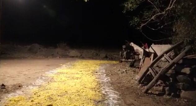 केवळ फटाकेच नाही तर पूजा खरात यांच्या स्वागता फुलांचा गालिचाही अंथराला होता.