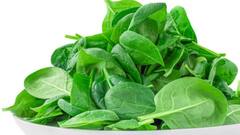 World Health Day 2022: ਸਰੀਰ 'ਚ ਆ ਗਈ ਕਮਜ਼ੋਰੀ? ਖਾਓ ਧਰਤੀ ਦੇ ਇਹ 10 ਸਭ ਤੋਂ ਸਿਹਤਮੰਦ ਫ਼ਲ