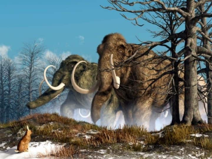Brawn Before Brains: How Mammals Survived In Post-Dinosaur World Brawn Before Brains: How Mammals Survived In Post-Dinosaur World