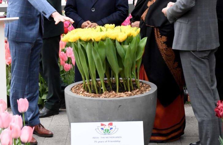 President Ram Nath Kovind named a new breed of yellow tulips Maitri in netherland Tulip Garden Netherland:  રાષ્ટ્રપતિ રામનાથ કોવિંદે નેધરલેન્ડમાં ટ્યૂલિપ ફુલની જાતિને શું નામ આપ્યું ?  જાણો આ ગાર્ડનની શું છે ખાસિયત