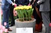 Tulip Garden Netherland:  રાષ્ટ્રપતિ રામનાથ કોવિંદે નેધરલેન્ડમાં ટ્યૂલિપ ફુલની જાતિને શું નામ આપ્યું ?  જાણો આ ગાર્ડનની શું છે ખાસિયત