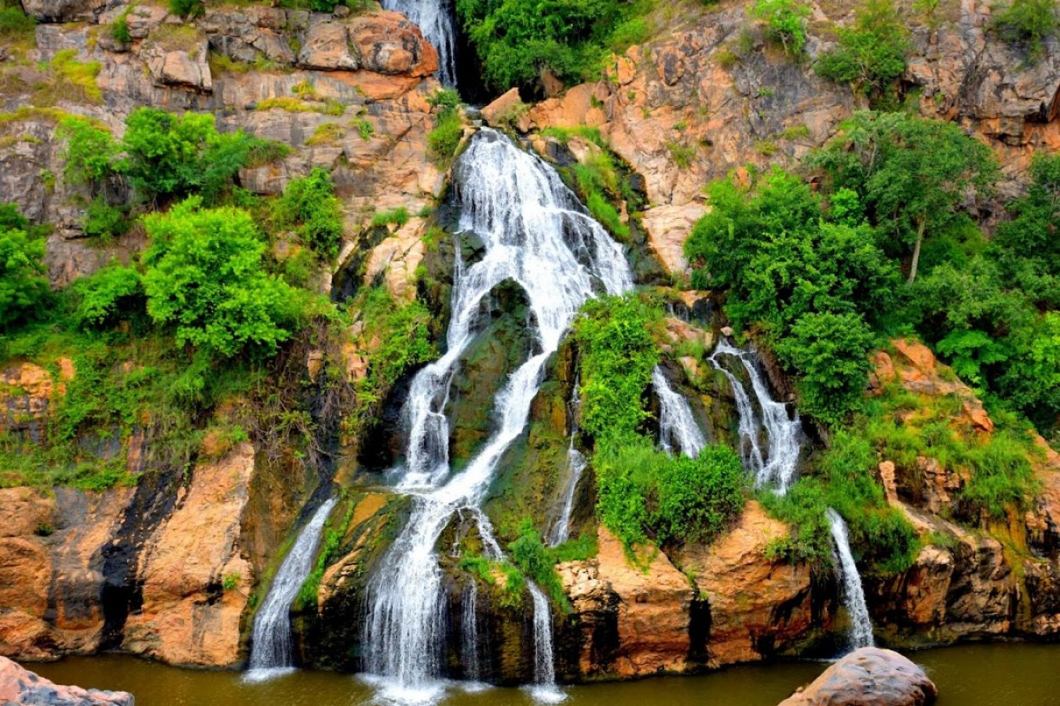 Chunchi Waterfalls : ட்ரிப் ப்ளான் இருக்கா? பெங்களூரிலிருந்து 100 கிலோமீட்டர்.. சுஞ்சி அருவின்னு ஒரு அற்புதம் இருக்கு..