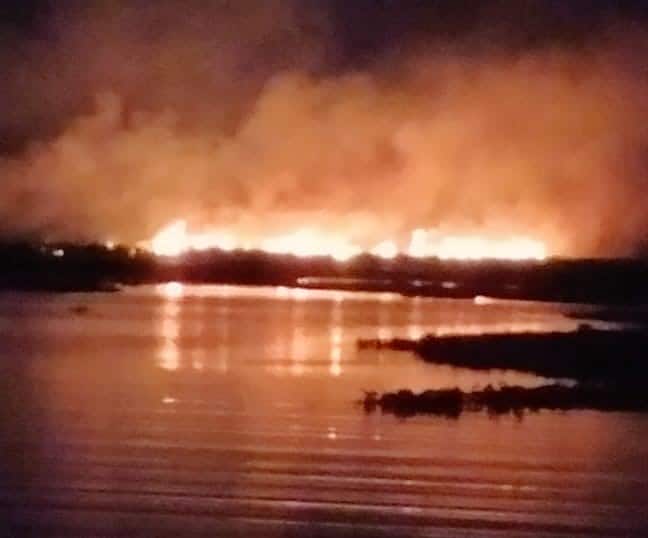 Nashik : नांदूर मध्यमेशवर पक्षी अभयारण्यातील आग अजूनही धुमसतीच, पक्ष्यांचा अधिवास धोक्यात Fire at Nandur Madhyameshwar Bird Sanctuary, endangered habitat of thousands of birds Nashik : नांदूर मध्यमेशवर पक्षी अभयारण्यातील आग अजूनही धुमसतीच, पक्ष्यांचा अधिवास धोक्यात