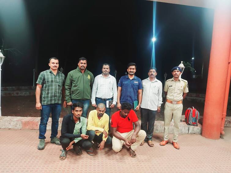 Three arrested in Sahyadri Project Tiger Chandoli sangali satara Forest Department वाघांसाठी लावलेल्या ट्रॅप कॅमेरात शिकाऱ्यांना टिपले; सह्याद्री व्याघ्र प्रकल्पात तिघांना अटक