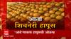 Shivneri Hapus Mango : आता बाजारात शिवनेरी हापूस; 'आंबे'गावला हापूसची ओळख Special Report