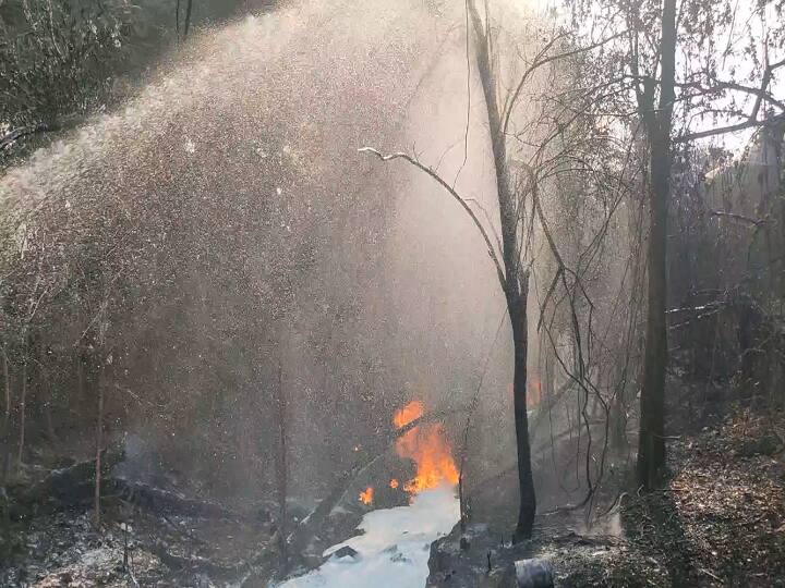 Navi Mumbai : भूमिगत वाहिनीतून डिझेल गळती झाल्याने लागलेल्या आगीत 15 झाडे जळून खाक Maharashtra Navi Mumbai The fire caused by diesel leak from an underground channel burnt 15 trees Navi Mumbai : भूमिगत वाहिनीतून डिझेल गळती झाल्याने लागलेल्या आगीत 15 झाडे जळून खाक