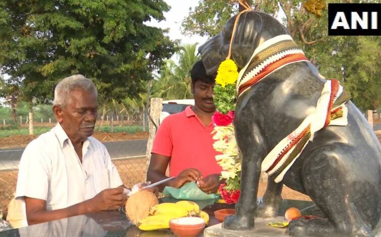Tamil Nadu: 82 year-old man has built a statue in memory of his dog in Sivaganga Dog Temple: 82 વર્ષના બુઢ્ઢાને કૂતરા સાથે થઈ ગયો એટલો પ્રેમ કે મોત બાદ બનાવ્યું મંદિર, દરરોજ થાય છે પૂજા
