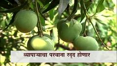 Ratnagiri Alphonso Fraud : हापूसच्या नावाखाली फसवणूक केल्यास व्यापाऱ्याचा परवाना होणार रद्द