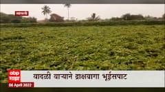 Sangli Rain: सांगलीत अवकाळी पावसाचा तडाखा ABP Majha