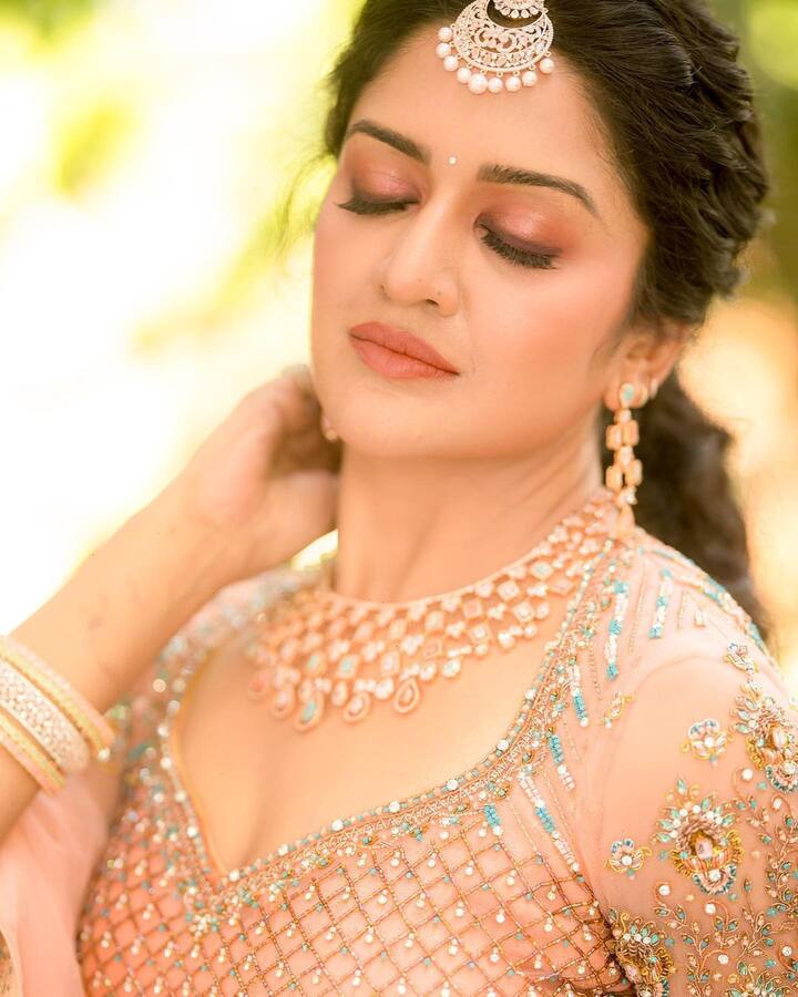 వరుస సినిమాల్లో నటించినప్పటికీ విమలా రామన్ కి ఆశించిన స్థాయిలో గుర్తింపు రాలేదు. 2019లో 'ఇరుత్తు' సినిమాలో నటించిన విమలా ఆ తర్వాత వెండితెరపై ప్రాజెక్టులకు సైన్ చేయలేదు. ఆ తర్వాత 'పబ్ గోవా' అనే తమిళ వెబ్ సిరీస్ లో నటించింది.