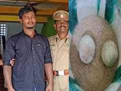 கிரிக்கெட் விளையாட பந்து எடுத்து செல்வதாக கூறி நாட்டு வெடிகுண்டுகளுடன் சுற்றி திரிந்த ரவுடி கைது