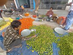 Ujjain News: उज्जैन में नींबू के दामों ने तोड़ा रिकॉर्ड, 30 गुना अधिक बढ़ी है कीमत, जानिए- क्या है वजह?