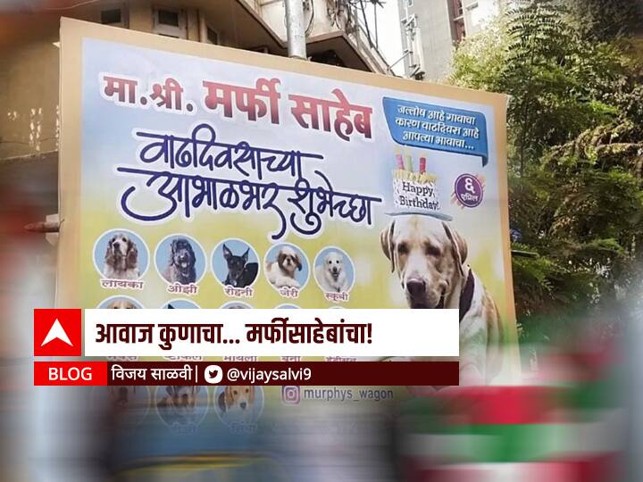 blog by Vijay Salvi on dog birthday poster at mumbai BLOG : आवाज कुणाचा... मर्फीसाहेबांचा