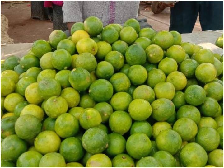 Lemon Rate are at very high, Prices are between 250 to 350 Rupees per KG Lemon Rate Hike: ਨਿੰਬੂ ਦੀਆਂ ਕੀਮਤਾਂ ਨੇ ਖੱਟੇ ਕੀਤੇ ਲੋਕਾਂ ਦੇ ਦੰਦ, ਕੀਮਤਾਂ 250 ਤੋਂ 350 ਰੁਪਏ ਪ੍ਰਤੀ ਕਿਲੋ