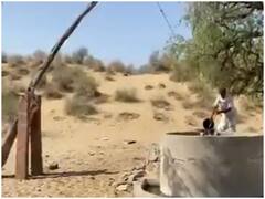 खेती में पानी की समस्या को दूर करने के लिए किसान ने लगाया गजब का जुगाड़, वीडियो देख चकरा जाएगा दिमाग