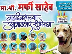 Mumbai : 'हॅप्पी बर्थ-डे मर्फी'; श्वानाच्या वाढदिवसानिमित्त मुंबईतील शिवाजी पार्कात खास बॅनर