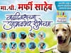 Mumbai : 'हॅप्पी बर्थ-डे मर्फी'; श्वानाच्या वाढदिवसानिमित्त मुंबईतील शिवाजी पार्कात खास बॅनर