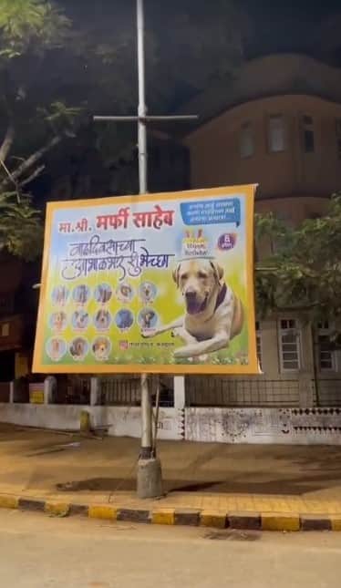 एका प्राणीप्रेमीने आपल्या मर्फी नावाच्या श्वानचा वाढदिवस अनोख्या पद्धतीने साजरा करायचं ठरवलं आणि त्याने चक्क त्याच्या वाढदिवसाच्या शुभेच्छांचा बॅनर शिवाजी पार्क, माहिम भागात लावले.