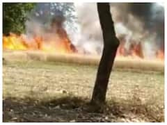 Pratapgarh News: किसानों के सपने आंसू बनकर बह रहे, आग के कहर से सौ बीघे से ज्यादा गेहूं की तैयार फसल जलकर राख