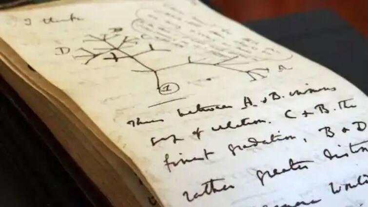 Darwin Notebook: ২০০১ সালে চুরি গিয়েছিল, ২০২২-এ গোলাপি ব্যাগে ফিরে এল ডারউইনের নোটবুক