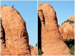 शख्स ने खड़ी चट्टान पर साइकिल से दिखाया हैरतअंगेज कारनामा, दांतों तले अंगुलियां दबा लेंगे आप