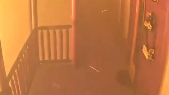 CCTV captures shocking visuals of fire at America's national park | ABP News