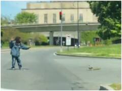 बिजी सड़क को पार करने में शख्स ने की बत्तखों की मदद, दिल जीत लेगा वीडियो