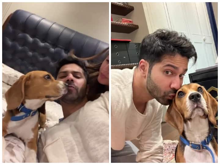 Varun Dhawan Gets kisses From Wifey Natasha And Dog Joey - Watch Video Varun Dhawan Gets kisses From Wifey Natasha And Dog Joey - Watch Video