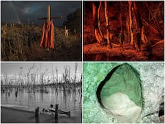 These Powerful Images Were Selected As Winners Of World Press Photo Contest 2022