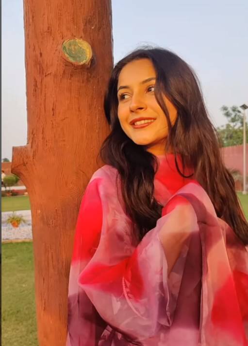 व्हिडीओत शहनाज कधी ट्रॅक्टरवर बसलेली दिसते, तर कधी तिचा दुपट्टा हलवत शेतात धावताना दिसत आहे.(photo:shehnaazgill/ig)