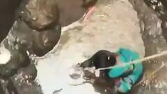 Viral Video: एक बाल्टी पानी के लिए जान जोखिम में डाल रहीं नासिक की महिलाएं