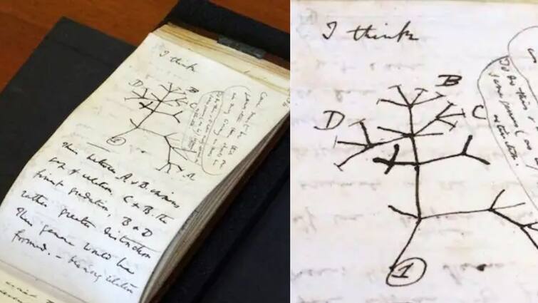 Darwin Notebook: ২০০১ সালে চুরি গিয়েছিল, ২০২২-এ গোলাপি ব্যাগে ফিরে এল ডারউইনের নোটবুক