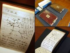 IN PICS: 'Stolen' Darwin Notebooks, One With Tree Of Life Sketch, Back In Cambridge University After 20 Years
