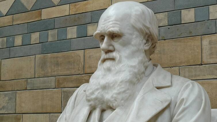 Darwin Notebook: ২০০১ সালে চুরি গিয়েছিল, ২০২২-এ গোলাপি ব্যাগে ফিরে এল ডারউইনের নোটবুক