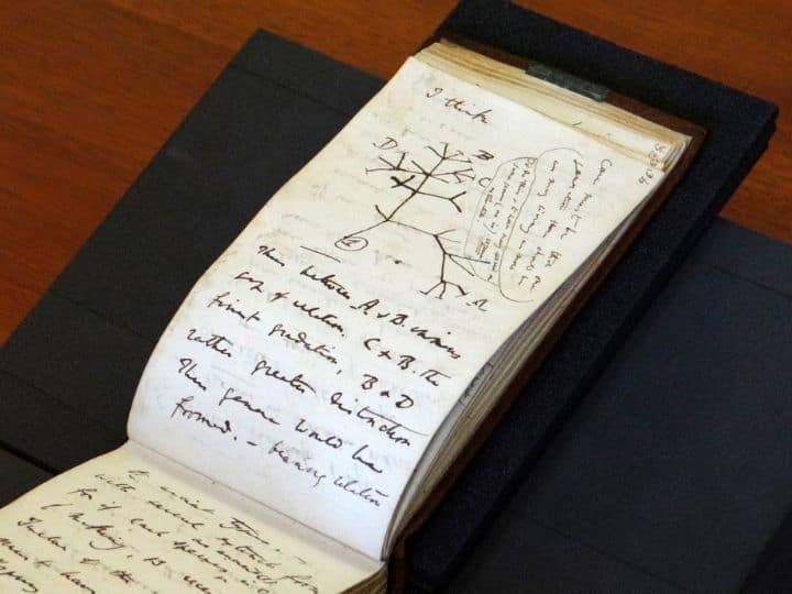 Two of Charles Darwin's notebooks containing his pioneering ideas on evolution and his famous