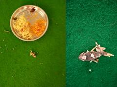 Telangana University: తెలంగాణ యూనివర్సిటీలో స్పెషల్ మెను- విద్యార్థుల ఆందోళన