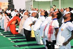 World Health Day: 'Yoga Utsav' Attracts Global Presence, Thousands Perform Yoga At Red Fort | IN PICS