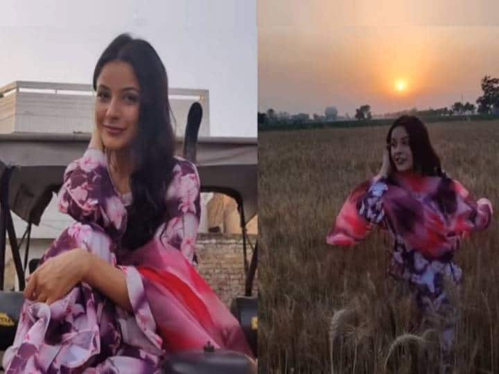 Shehnaaz Gill makes her fans crazy with desi look actress share video on social media Shehnaaz Gill : ‘मेरा पिंड, मेरे खेत..’, शहनाज गिलने चाहत्यांना दाखवली गावाची झलक!