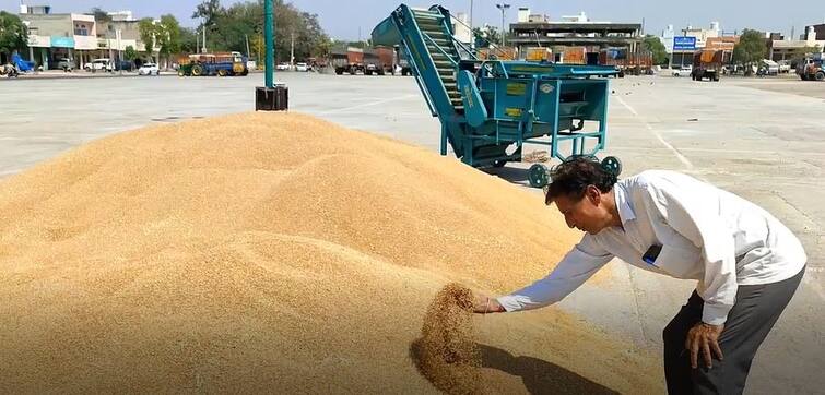 Punjab News: Wheat started Arrival in Barnala mandi, District administration claims proper management ਬਰਨਾਲਾ ਦੀ ਮੰਡੀ 'ਚ ਸ਼ੁਰੂ ਹੋਈ ਕਣਕ ਦੀ ਆਮਦ, ਪ੍ਰਸ਼ਾਸਨ ਵੱਲੋਂ ਪ੍ਰਬੰਧ ਮੁਕੰਮਲ ਹੋਣ ਦਾ ਦਾਅਵਾ, ਕਿਸਾਨਾਂ ਦੀ ਸਰਕਾਰ ਤੋਂ ਇਹ ਮੰਗ