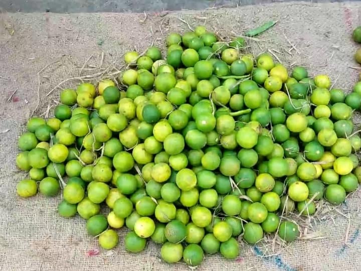 Haridwar Uttarakhand Due to increase in price of petrol diesel prices of fruits and vegetables increased ANN Haridwar News: हरिद्वार में नींबू हुआ 250 रुपये किलो, फल सब्जियों के दाम ने लोगों का बजट बिगाड़ा