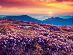 કોઈ જન્નતથી કમ નથી ઉત્તરાખંડના આ હિલ સ્ટેશન, જુઓ તસવીરો