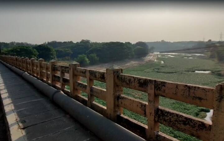 तपोवन परिसरात तर जिकडे नजर जाईल तिथपर्यंत पानवेली नजरेस पडत आहेत आणि यामुळे जलचरांचे अस्तित्त्व धोक्यात तर आलेच आहे. यासोबतच किनारी दुर्गंधीही पसरली आहे.