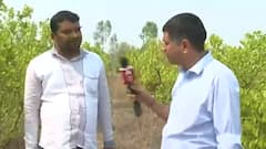 Inflation in India: How are farmers dealing with the rising prices of lemon? | ABP News
