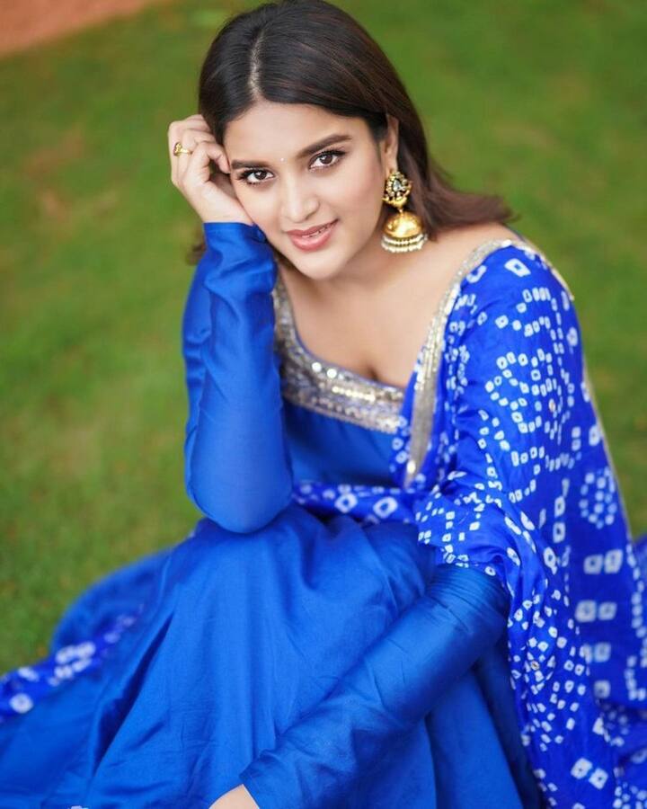 ఇప్పటివరకు నిధి తన కెరీర్ లో సరైన సక్సెస్ ను అందుకోలేకపోయింది. (Courtesy : Nidhi Agerwal Instagram)